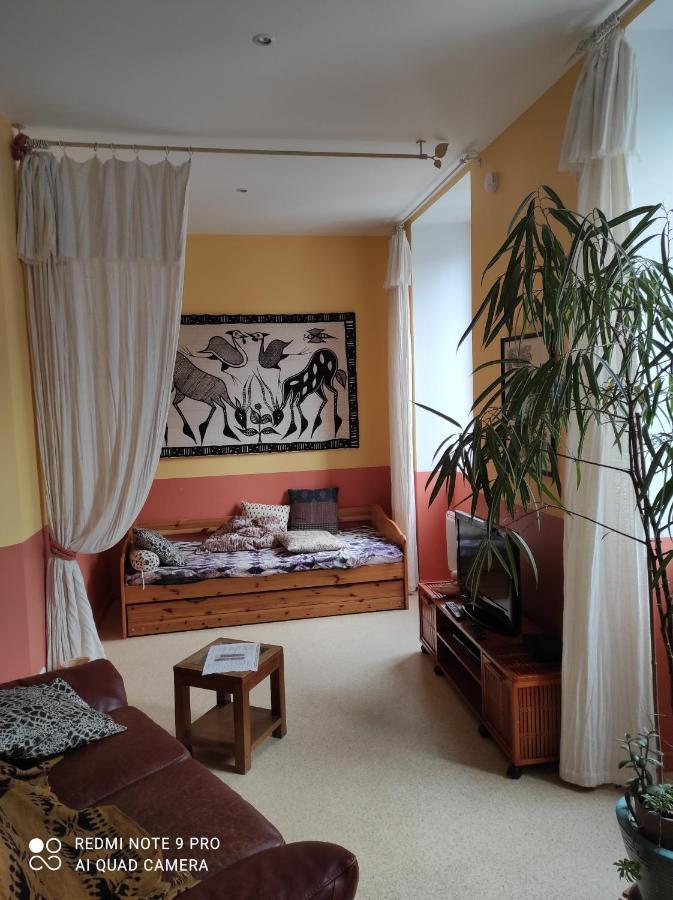 Afrique Appartement de 42m2 à la montagne Eaux-Bonnes Esterno foto
